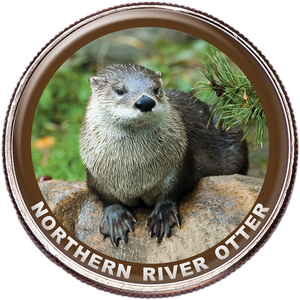 Northern River Otter Colorized Kennedy Half Dollar Main Image
