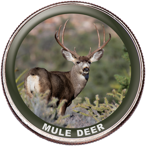 Mule Deer Colorized Kennedy Half Dollar Main Image