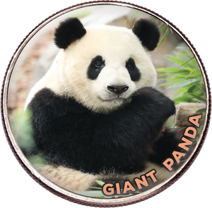 Colorized Kennedy Half Dollar World Wildlife Coin - Giant Panda Main Image
