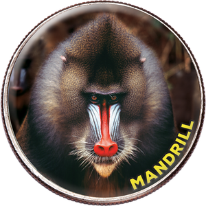 Colorized Kennedy Half Dollar World Wildlife Coin - Mandrill Main Image