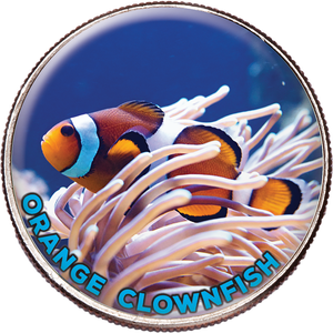 Colorized Kennedy Half Dollar World Wildlife Coin - Orange Clownfish Main Image