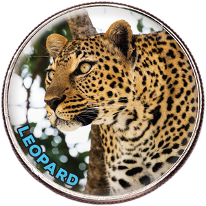 Colorized Kennedy Half Dollar World Wildlife Coin - Leopard Main Image
