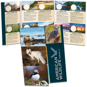 American Wildlife Series V Folder Main Image