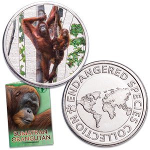 Endangered Species Silver-Plated Round with Folder - Sumatran Orangutan Main Image