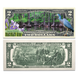 Colorized $2 Federal Reserve Note Great American Landscapes - Cypress Swamp Main Image