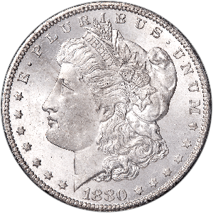 1880-CC Morgan Silver Dollar, 3rd Reverse | Littleton Coin Company
