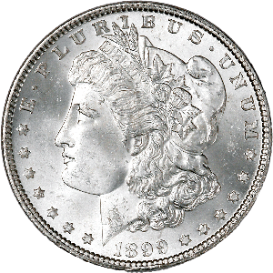 1899 Morgan Silver Dollar, Choice Uncirculated, MS63 Main Image