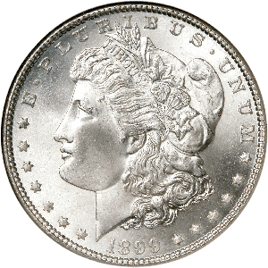 1899 Morgan Silver Dollar Main Image