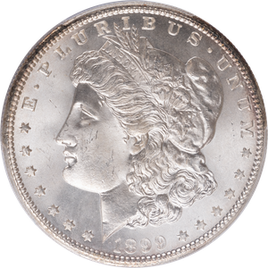 1899 Morgan Silver Dollar MS65 | Littleton Coin Company