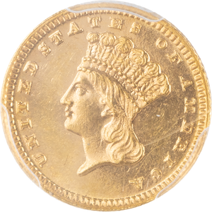 1884 Gold Dollar Indian Large Head Main Image