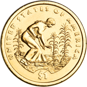 2009-D Native American Dollar Main Image
