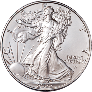 2022-W Burnished American Eagle Silver Dollar Main Image