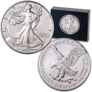 2023-W Burnished American Eagle Silver Dollar Main Image