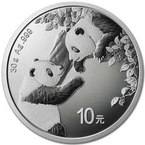 2023 China Silver 10 Yuan Panda Main Image