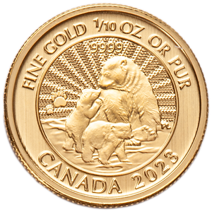 2023 Canada 1/10 oz. Gold $5 Polar Bear, First Strike Main Image