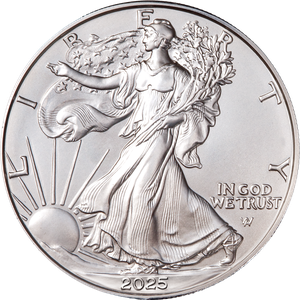 2025-W Burnished American Eagle Silver Dollar Main Image