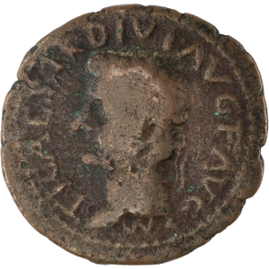 A.D. 14-37 Tiberius Bronze Provincial with Caligula Spain, Carthago Nova Main Image