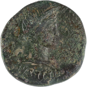 AD 14-29 Livia Bronze Dupondius     F+ Main Image