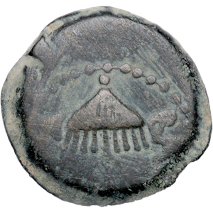 A.D. 37-44 Herod Agrippa I Bronze Prutah, Umbrella Main Image