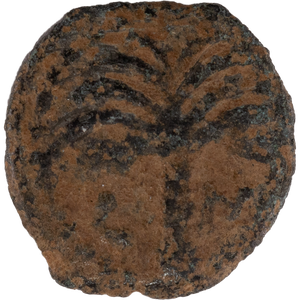 A.D. 9-12 Marcus Ambibulus Bronze Prutah Main Image