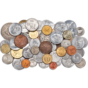 Animal World Coin Set Main Image