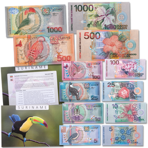 2000 Suriname Note Set - Birds Main Image