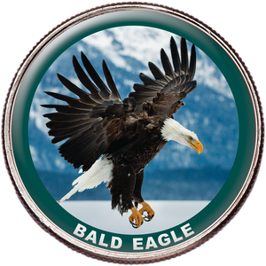 Bald Eagle Colorized Kennedy Half Dollar Main Image