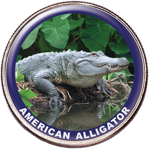 American Alligator Colorized Kennedy Half Dollar Main Image