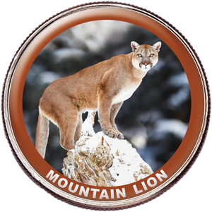 Mountain Lion Colorized Kennedy Half Dollar Main Image