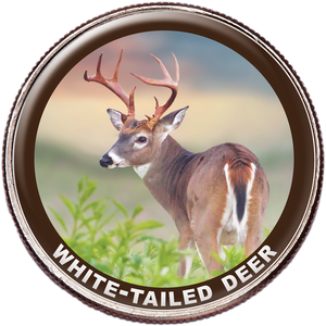 White-tailed Deer Colorized Kennedy Half Dollar Main Image