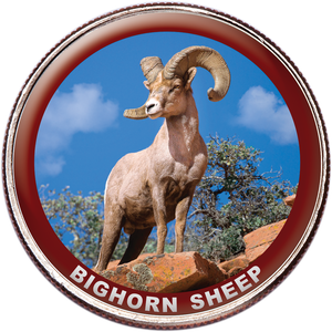 Bighorn Sheep Colorized Kennedy Half Dollar Main Image