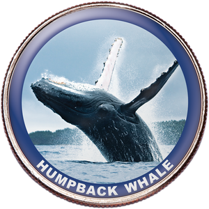Humpback Whale Colorized Kennedy Half Dollar Main Image