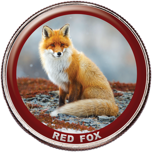 Red Fox Colorized Kennedy Half Dollar Main Image
