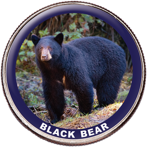 Black Bear Colorized Kennedy Half Dollar Main Image