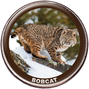 Bobcat Colorized Kennedy Half Dollar Main Image