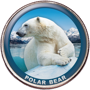 Polar Bear Colorized Kennedy Half Dollar Main Image
