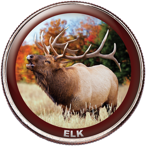 Elk Colorized Kennedy Half Dollar Main Image