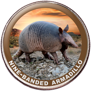 Armadillo Colorized Kennedy Half Dollar Main Image
