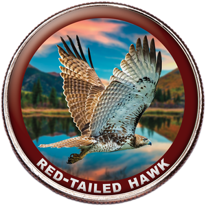 Red Tail Hawk Colorized Kennedy Half Dollar Main Image