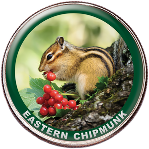 Eastern Chipmunk Colorized Kennedy Half Dollar Main Image