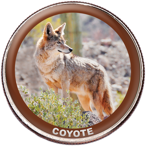 Coyote Colorized Kennedy Half Dollar Main Image