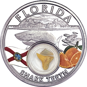 2020 Mesa Grande Tribe 1 oz. Silver U.S. Treasures Series - Florida Main Image