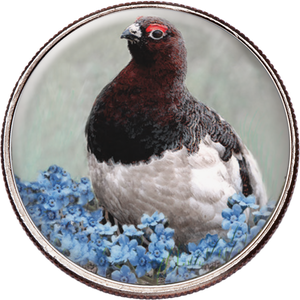 50 State Birds & Flowers - Alaska Main Image