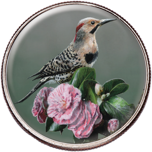 50 State Birds & Flowers - Alabama Main Image