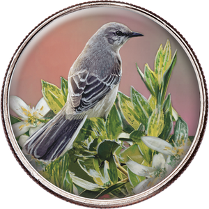 50 State Birds & Flowers - Florida Main Image