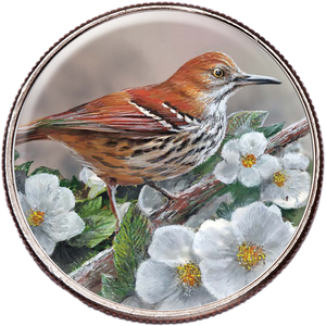 50 State Birds & Flowers - Georgia Main Image