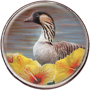 50 State Birds & Flowers - Hawaii Main Image