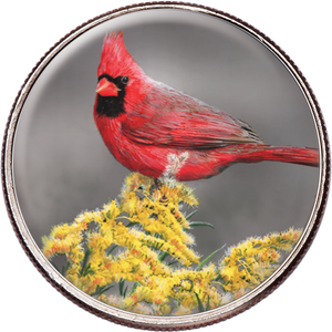 50 State Birds & Flowers - Kentucky Main Image