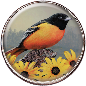 50 State Birds & Flowers - Maryland Main Image