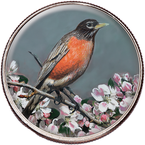 50 State Birds & Flowers - Michigan Main Image